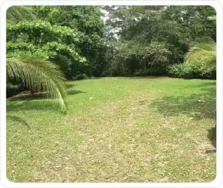 retirement-homes-costa-rica