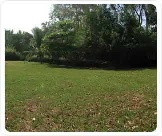 carate-real-estate-costa-rica