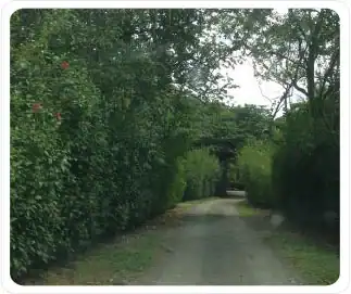 retirement-home-costa-rica